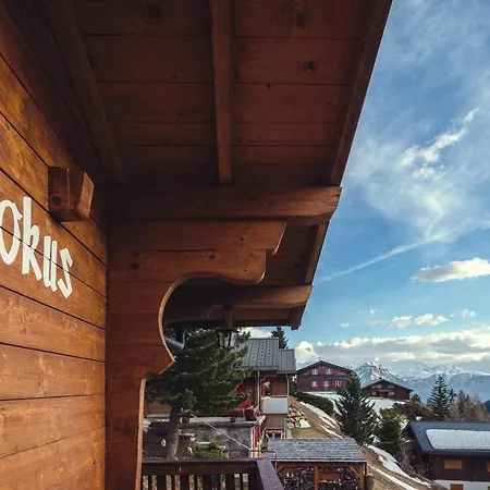 Krokus