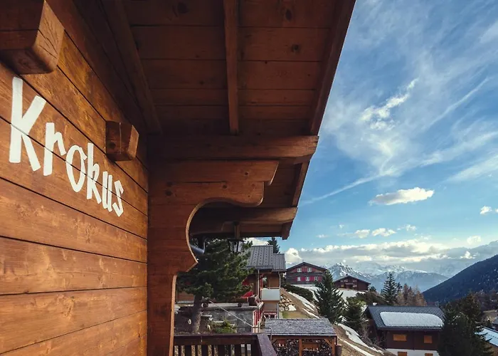 Krokus
